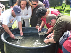 Enjoy a great days fun amongst the historic stone buildings against the backdrop of the Central Otago landscape