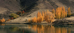 Fishing on Lake Dunstan