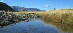 Fishing on Waters of the Maniototo