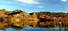 Fishing on Upper Manorburn Dam