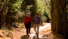 This track follows the Clutha River on the true right bank between Alexandra and Clyde