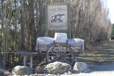 Three Miners Vineyards