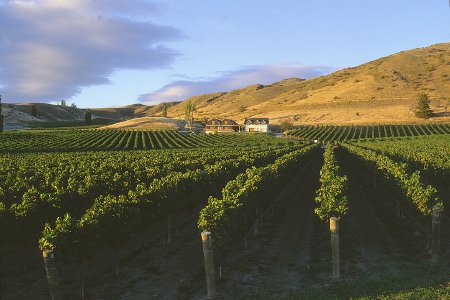 Felton Road Wines Ltd