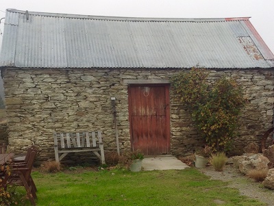 Dry Gully Vineyard