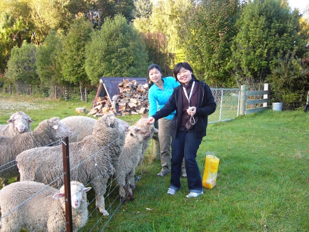 Smallburn Farmstays