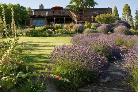 Grapeview Bed and Breakfast