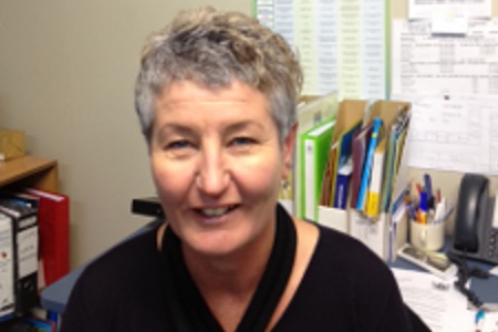 Public Health Nurses