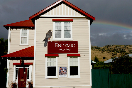 Endemic Art Gallery