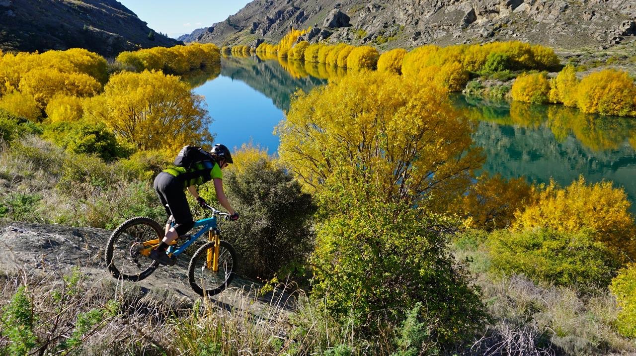 Altitude Bikes