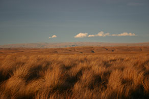 Central Otago NZ Landscape