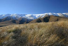 Central Otago landscape