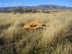 Central Otago singer / songwriter